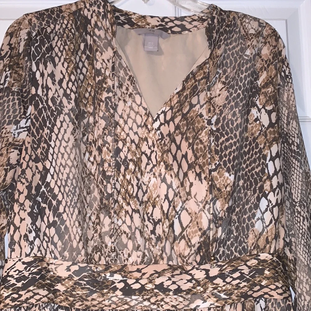 Animal Print Dress - Picture 3 of 3